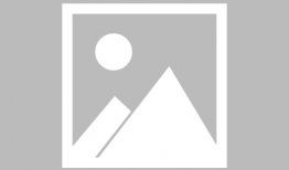 守护猫娘绯鞠 漫画,绯鞠的奇幻冒险之旅